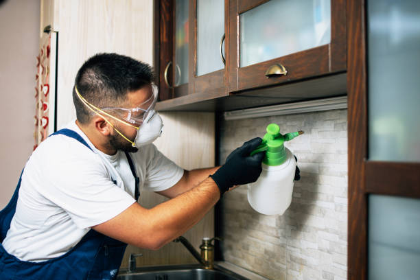 Best Pest Control for Businesses  in Upper Fruitland, NM