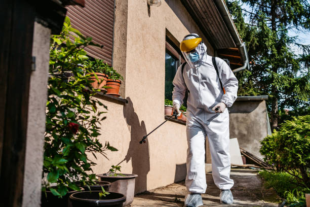Best Affordable Pest Control Services  in Upper Fruitland, NM