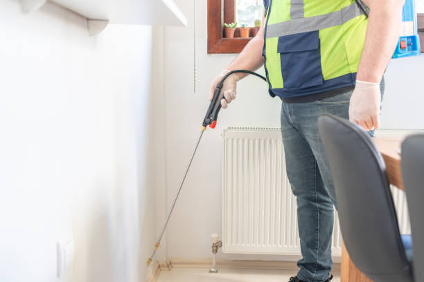 Best Affordable Pest Control Services  in Upper Fruitland, NM