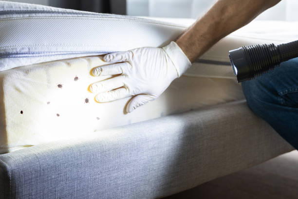 Best Pest Prevention Services  in Upper Fruitland, NM