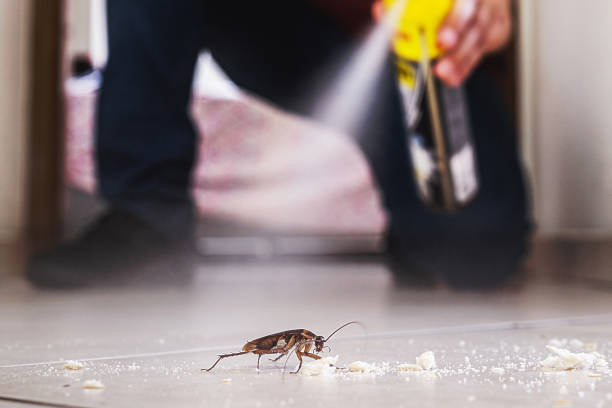 Best Best Pest Control Companies  in Upper Fruitland, NM