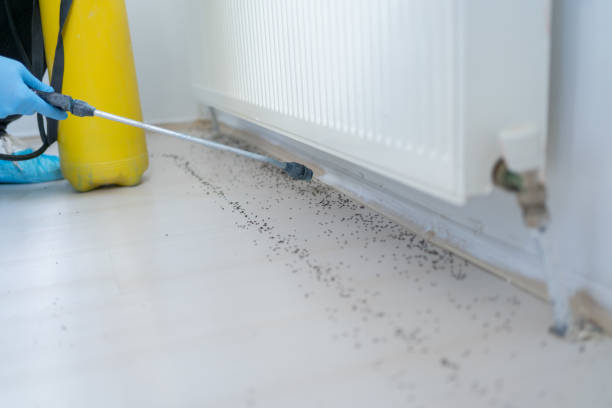 Best Pest Removal Services  in Upper Fruitland, NM
