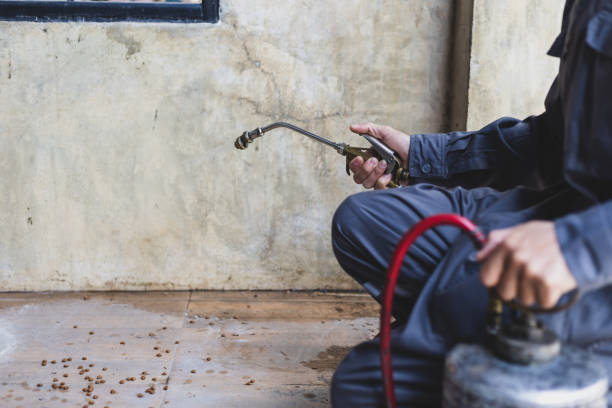 Best Best Pest Control Companies  in Upper Fruitland, NM
